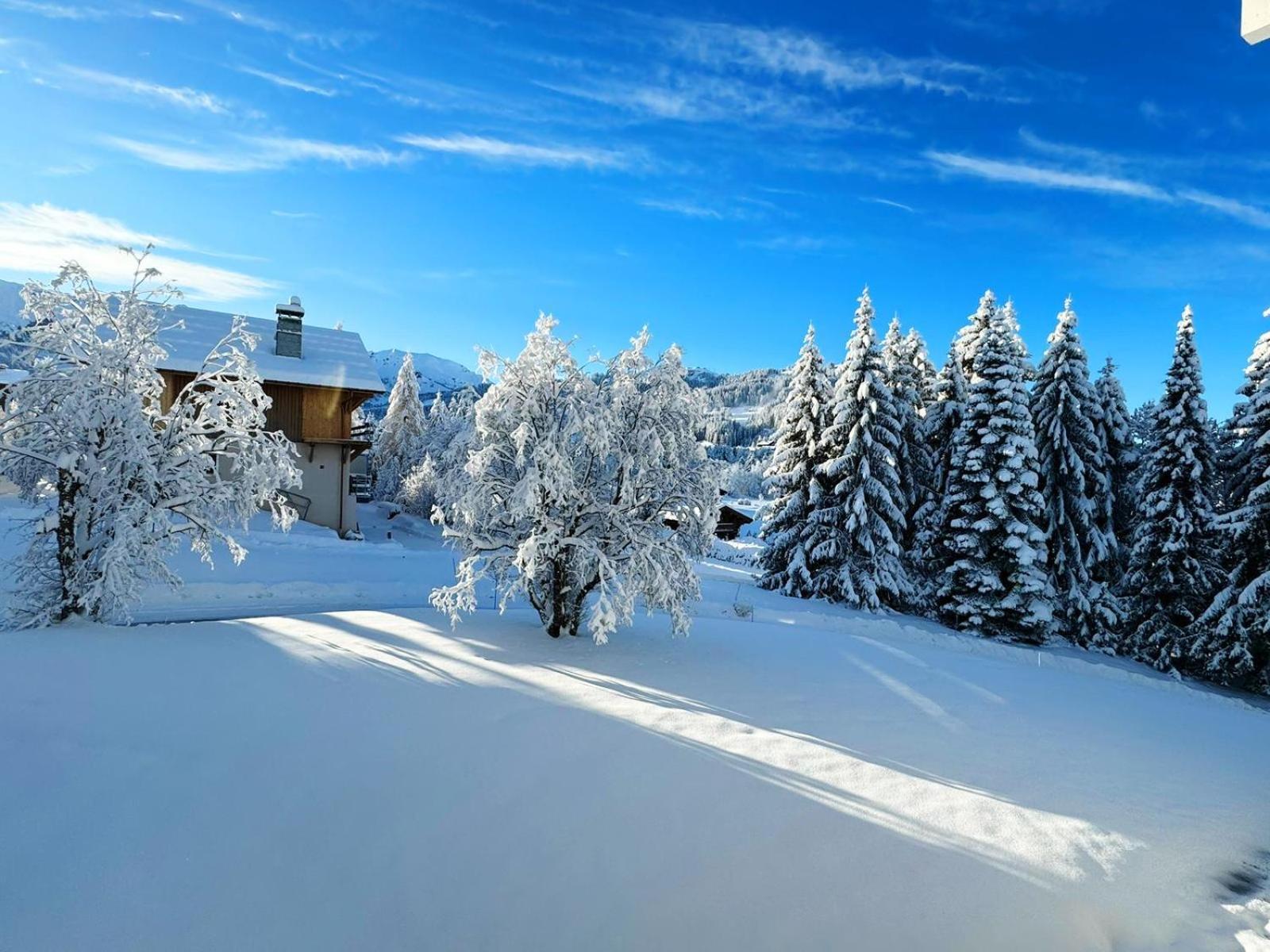 Le Flocon Du Mont Darbois Classe 3 Etoiles Megeve Exterior photo