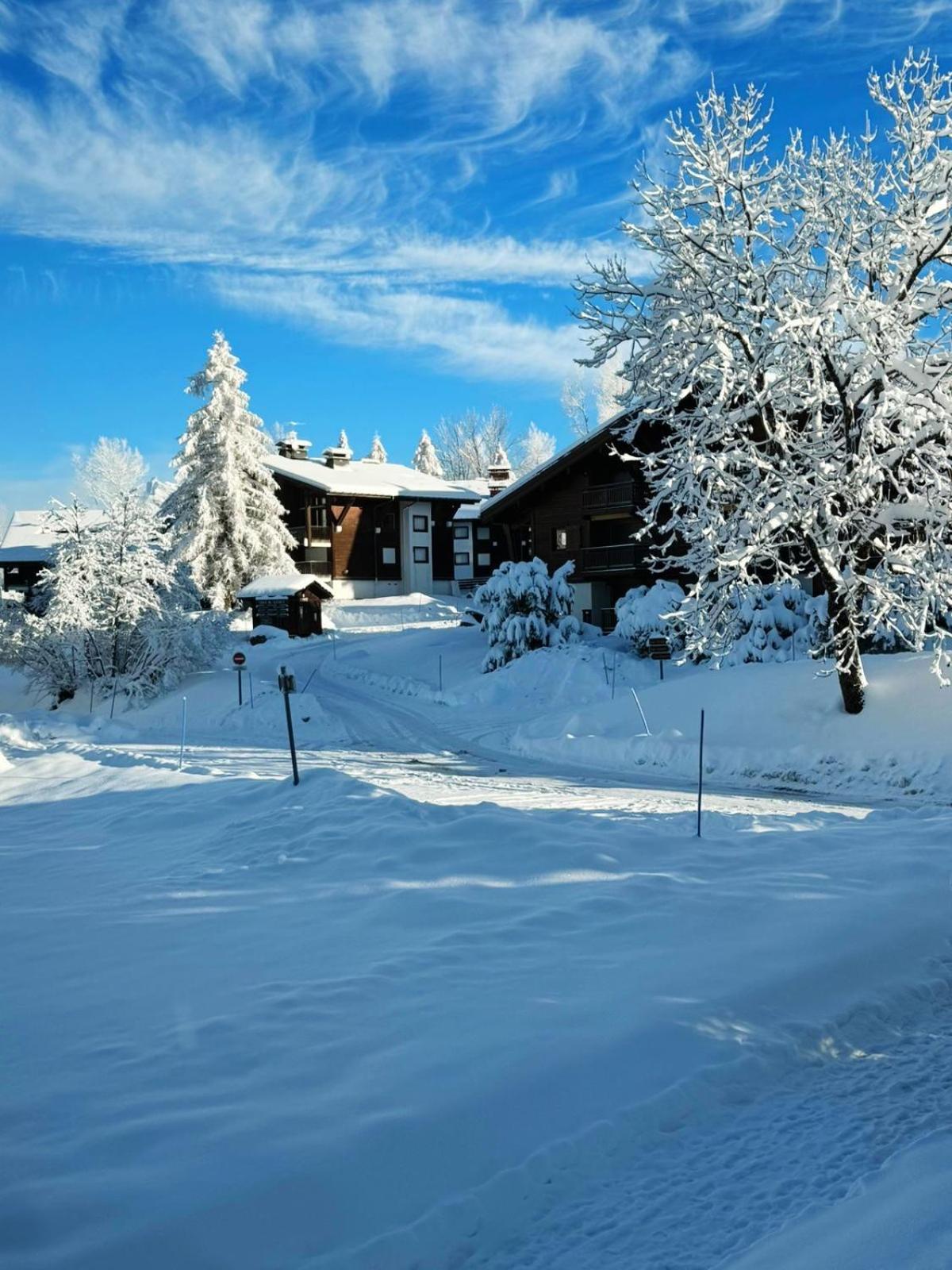 Le Flocon Du Mont Darbois Classe 3 Etoiles Megeve Exterior photo